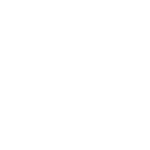 wordpress online training